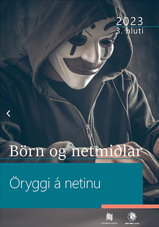 Öryggi á netinu